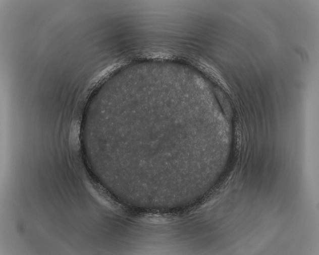 X0000114580538200911091238