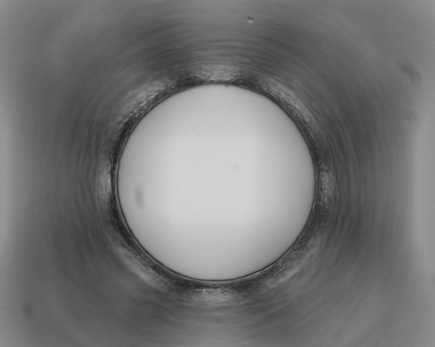 X0000114580541200911091238