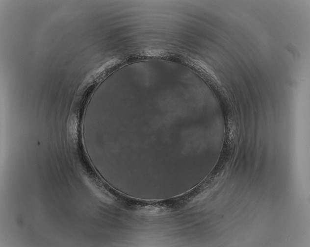 X0000114580542200911091238