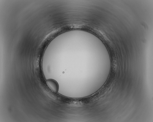 X0000114580543200911091238