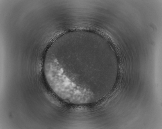 X0000114580546200911091238