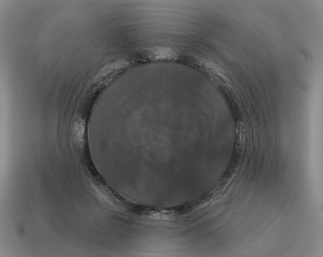 X0000114580550200911091238