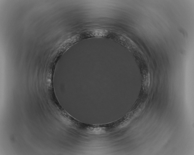 X0000114580553200911091238