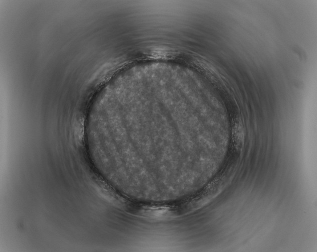 X0000114580554200911091238