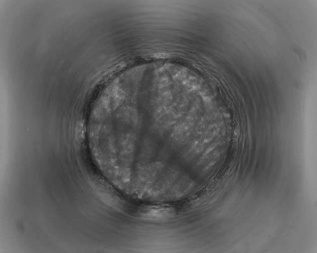 X0000114580555200911091238