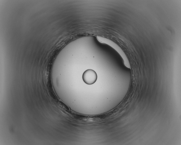 X0000114580558200911091238