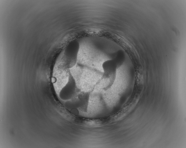 X0000114580561200911091238