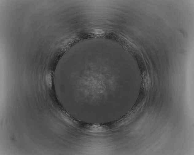 X0000114580562200911091238