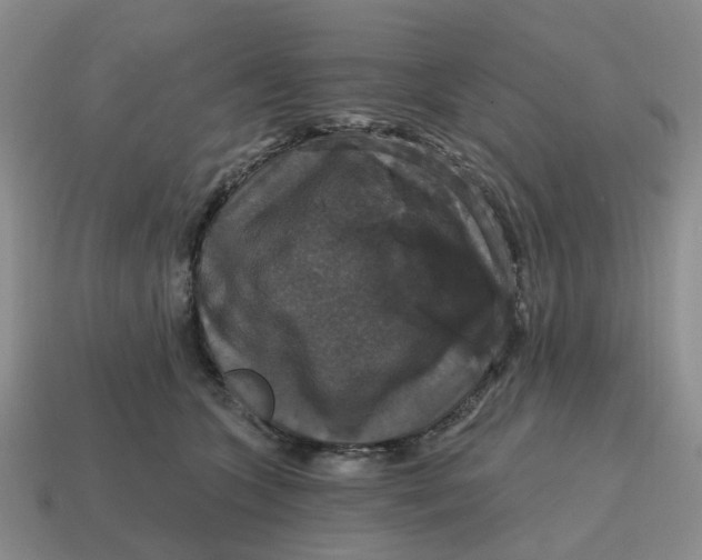 X0000114580563200911091238