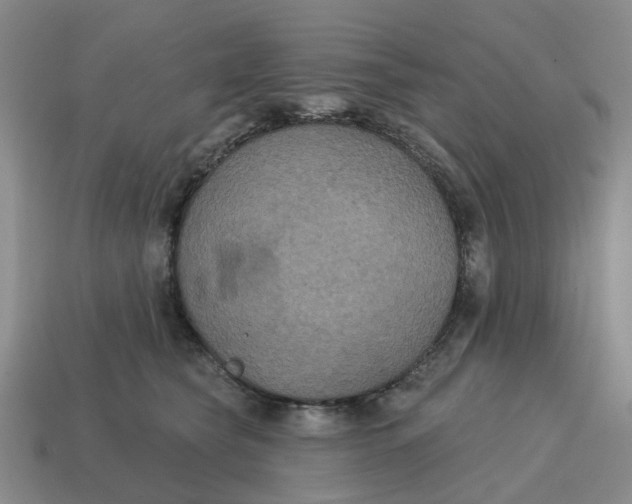 X0000114580565200911091238