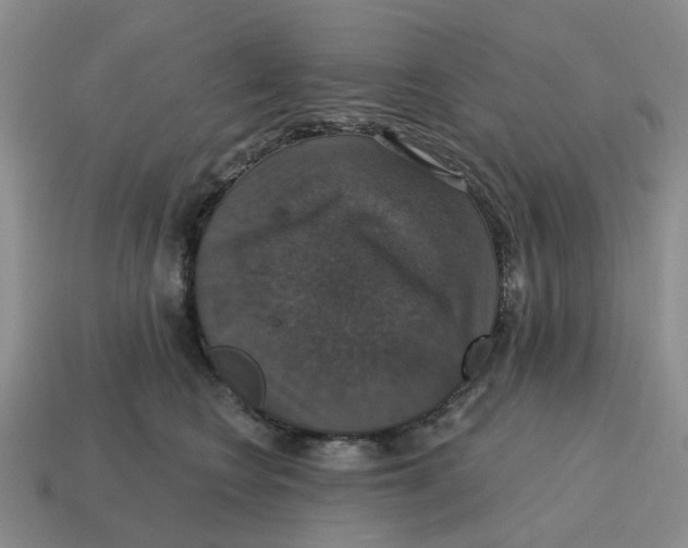 X0000114580566200911091238