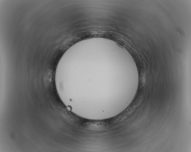 X0000114580567200911091238