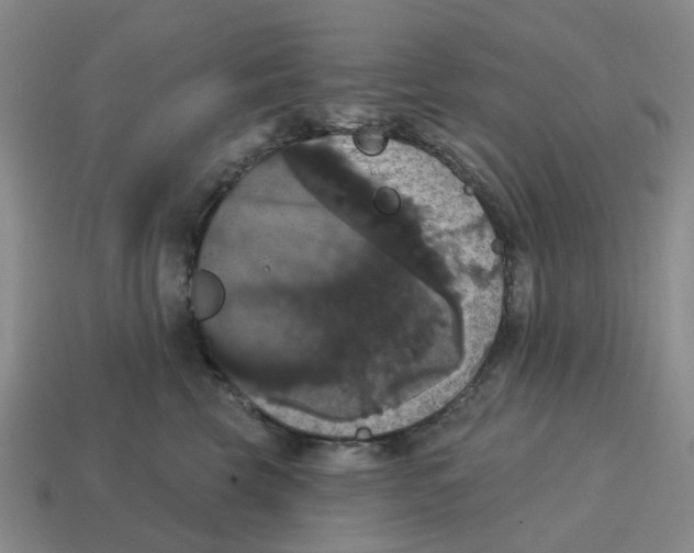 X0000114580569200911091238