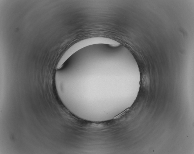 X0000114580570200911091238