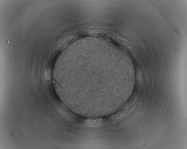 X0000114580571200911091238