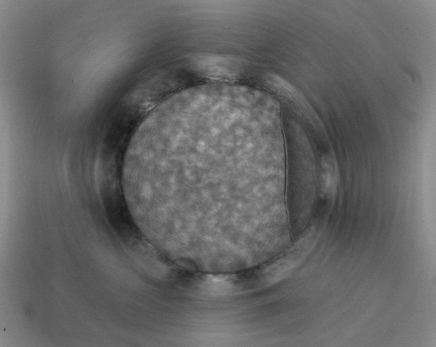 X0000114580573200911091238