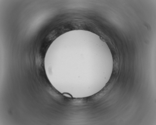 X0000114580574200911091238