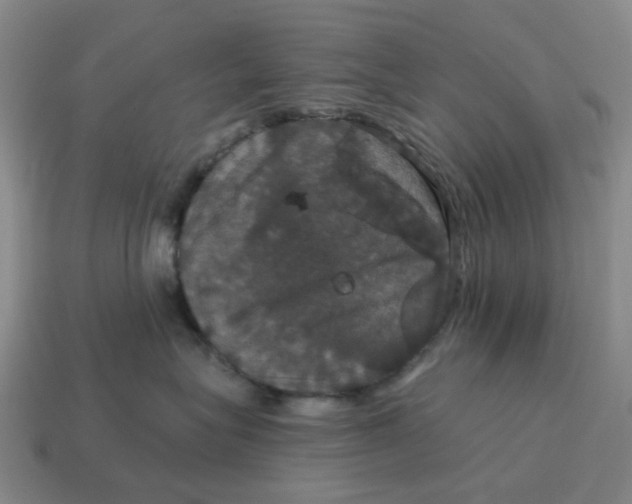 X0000114580575200911091238