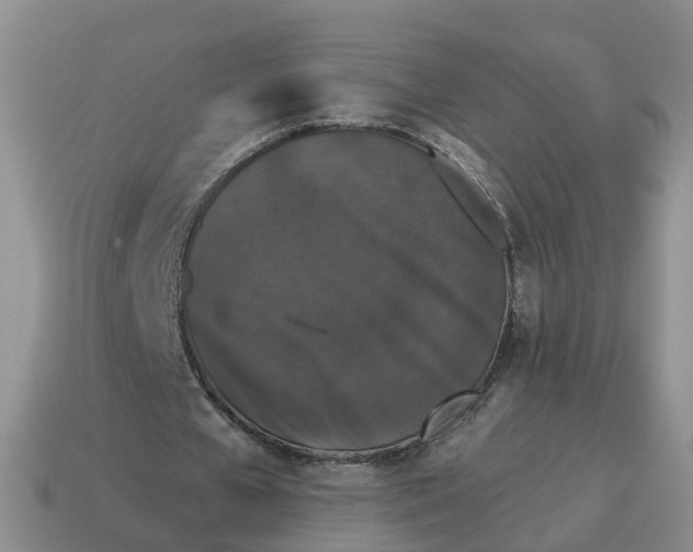 X0000114580577200911091238