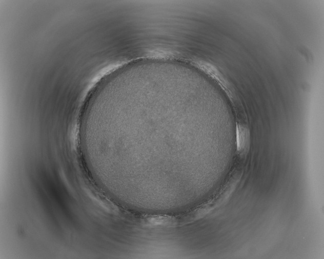 X0000114580579200911091238