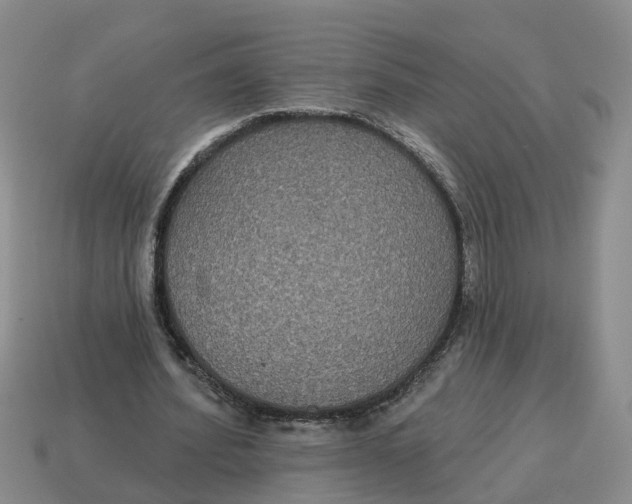 X0000114580580200911091238