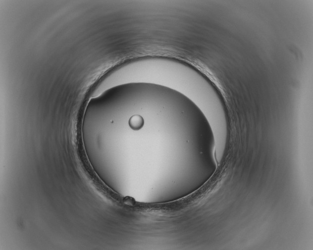 X0000114580581200911091238