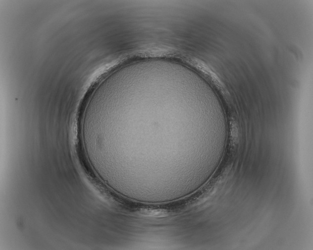 X0000114580582200911091238