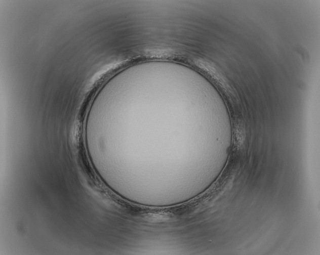 X0000114580583200911091238