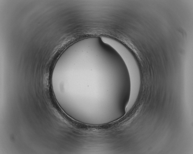 X0000114580585200911091237