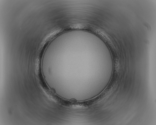 X0000114580586200911091237