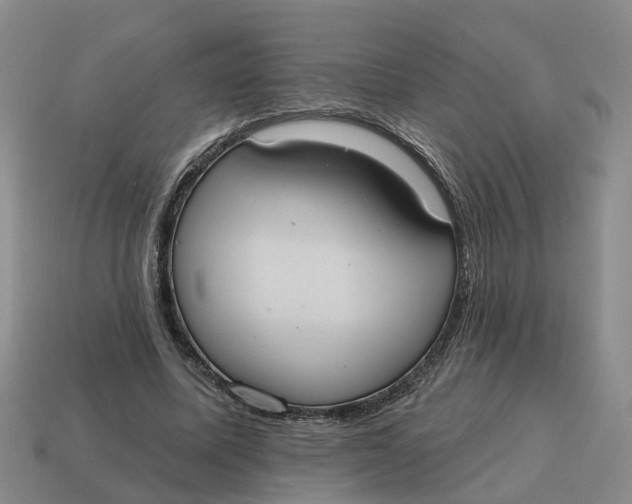 X0000114580587200911091237