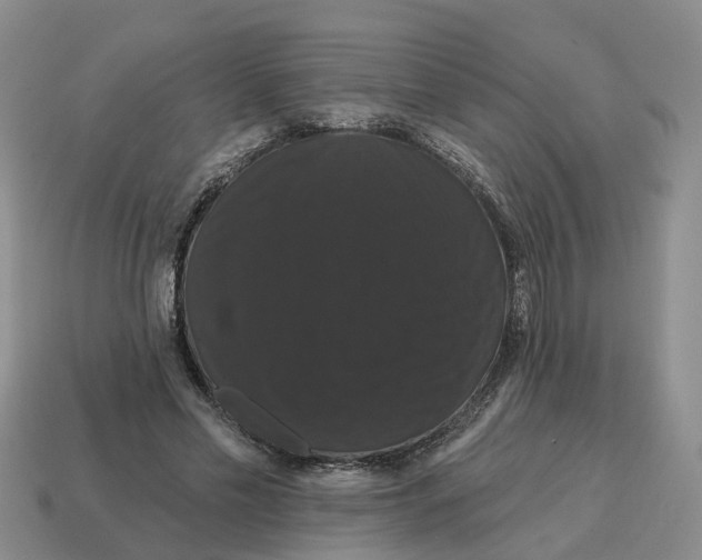 X0000114580589200911091237