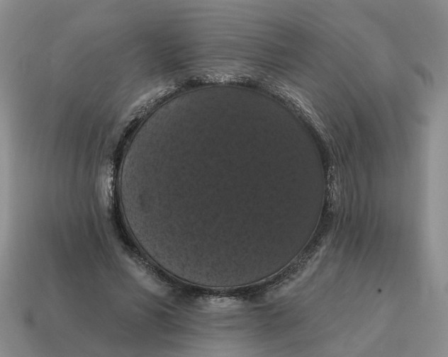 X0000114580590200911091237