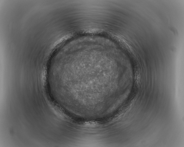 X0000114580591200911091237