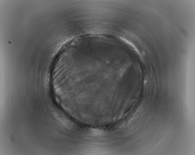 X0000114580592200911091237