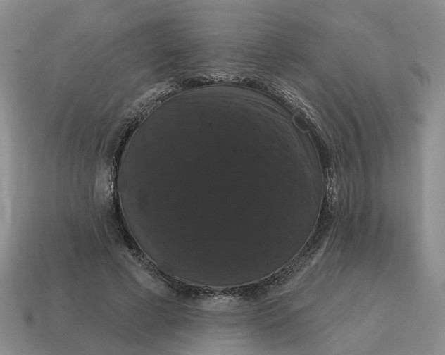 X0000114580593200911091237