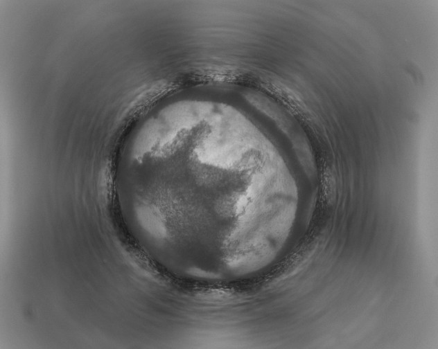 X0000114580594200911091237