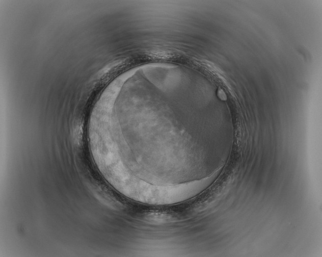 X0000114580596200911091237