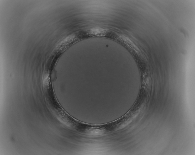 X0000114580597200911091237