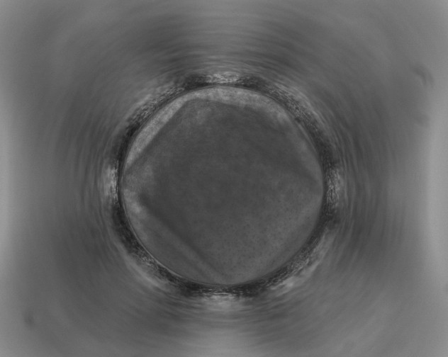 X0000114580598200911091237