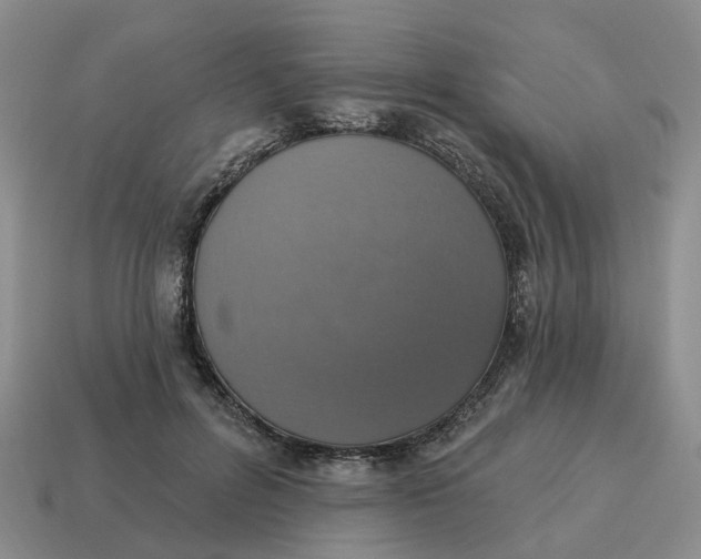 X0000114580600200911091237