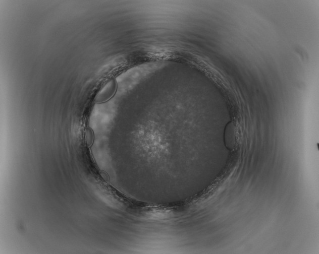 X0000114580601200911091237