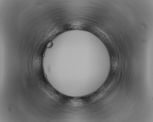 X0000114580603200911091237