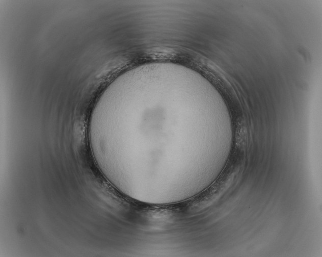 X0000114580604200911091237