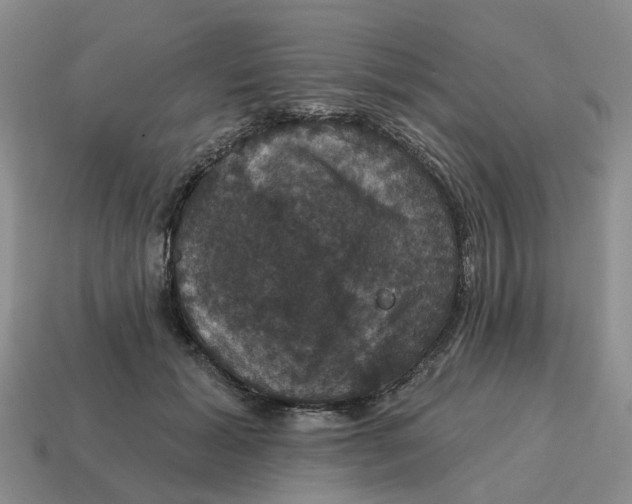 X0000114580605200911091237