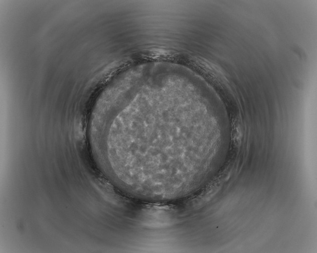 X0000114580607200911091237