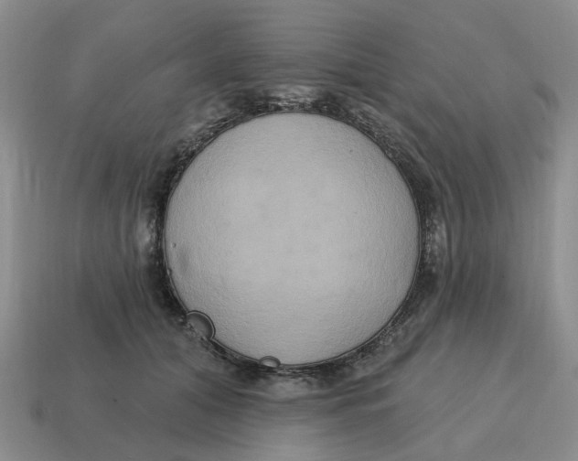 X0000114580608200911091237