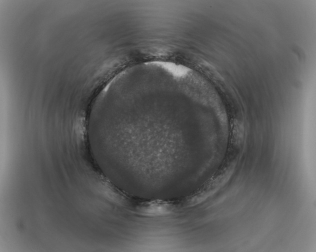 X0000114580612200911091237