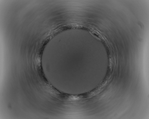 X0000114580613200911091237