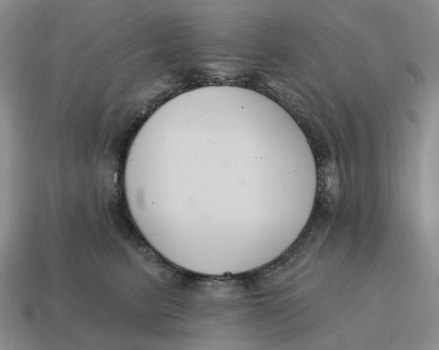 X0000114580615200911091237